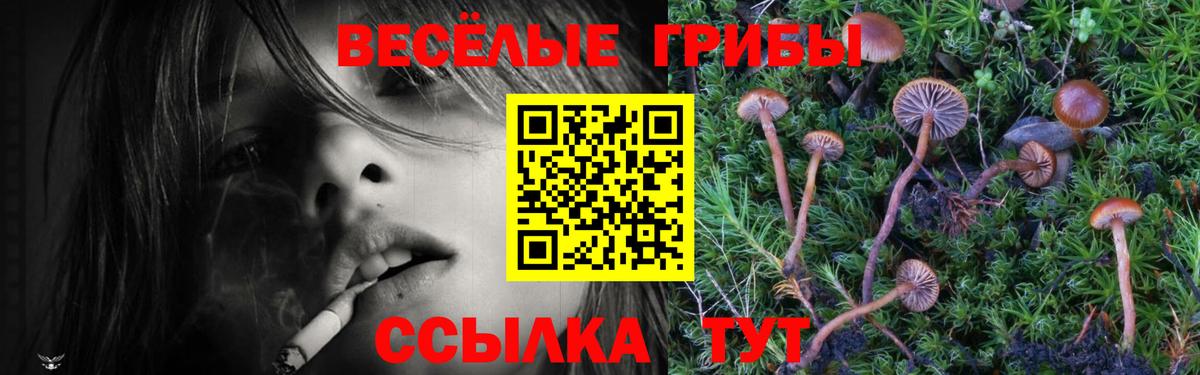 Галлюциногенные грибы мицелий  Псилоцибиновые грибы Psilocybe  Саров  где купить   Вход с VPN 
